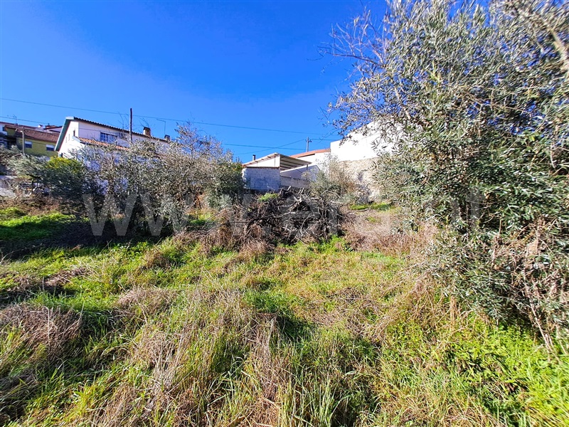 Lote  Covilhã, Teixoso e Sarzedo - 1456984 - 13