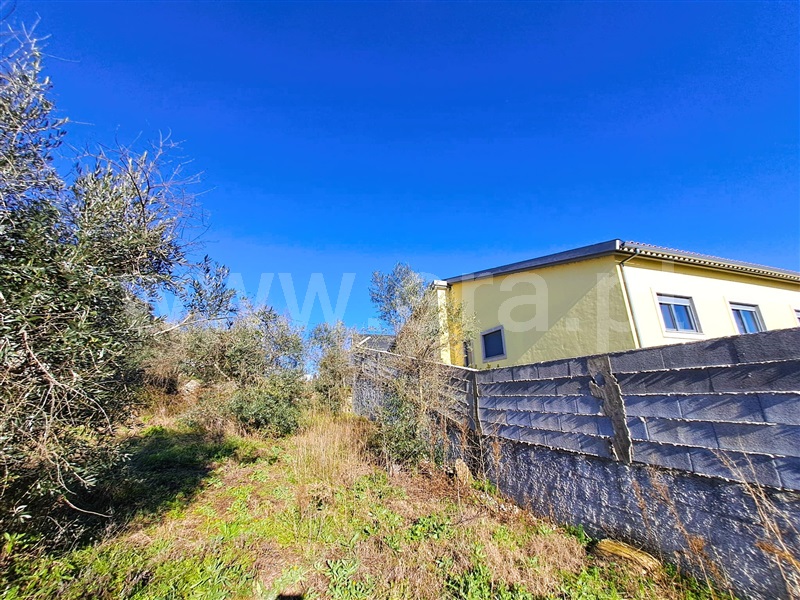Lote  Covilhã, Teixoso e Sarzedo - 1456984 - 15