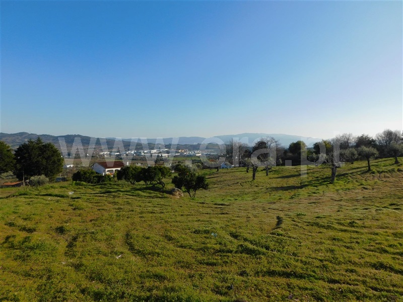 Lote  Covilhã, Covilhã - 1369442 - 8