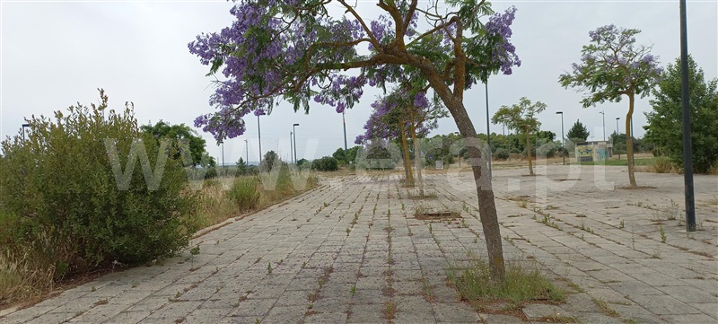 Lote  Entroncamento, ENTC - Igreja Sagrada Família - 1255113 - 3