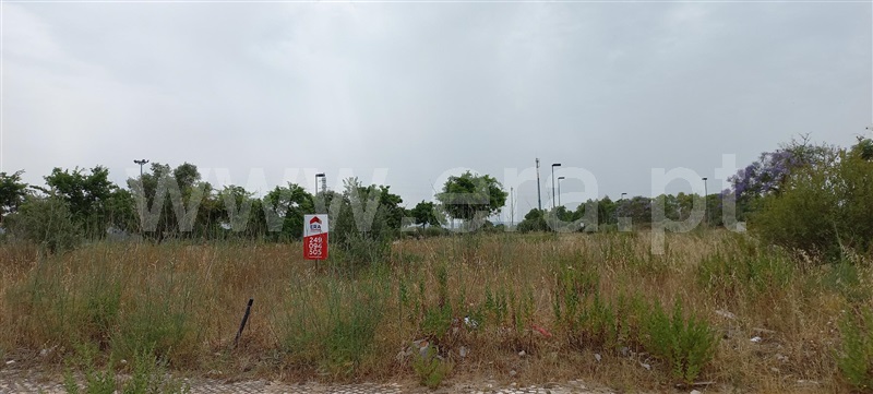 Lote / Entroncamento, ENTC - Igreja Sagrada Família