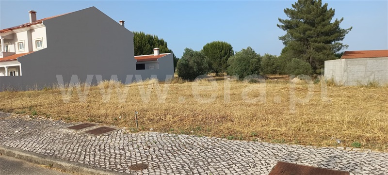 Lote / Entroncamento, Entroncamento - Casal Vaz