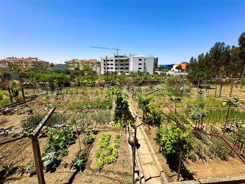 Lote / Entroncamento, Nossa Senhora de Fátima