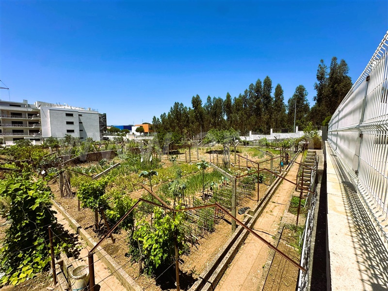 Lote  Entroncamento, Nossa Senhora de Fátima - 1410021 - 2