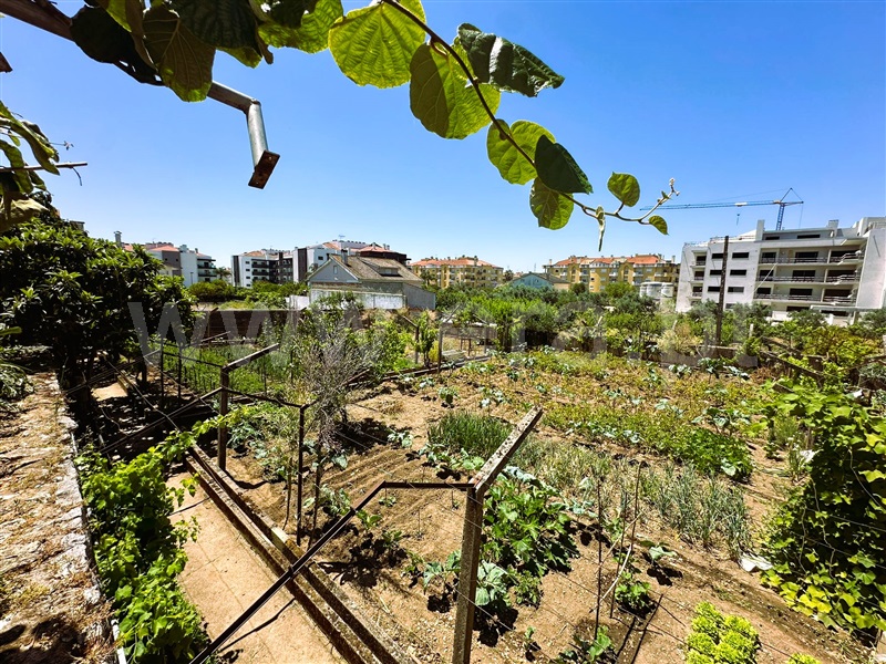 Lote  Entroncamento, Nossa Senhora de Fátima - 1410021 - 3