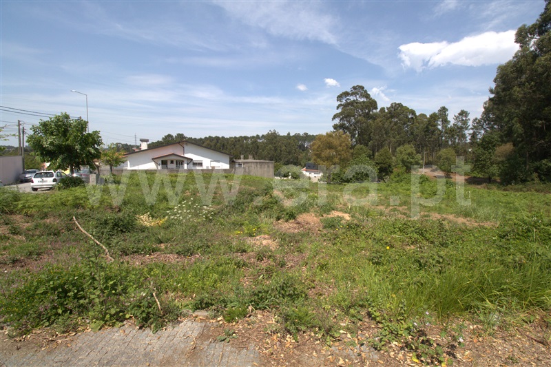 Lote  com Urbano Espinho, Anta II - Cassufas - 1249240 - 9
