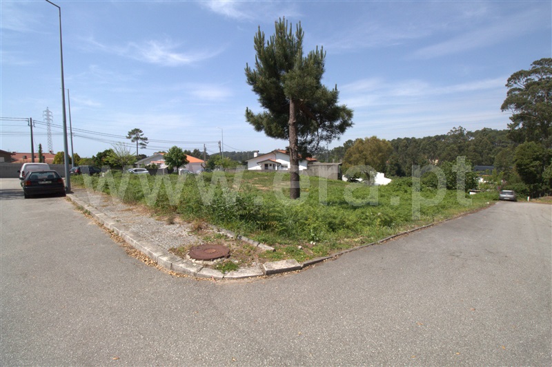 Lote / Espinho, Anta II - Cassufas