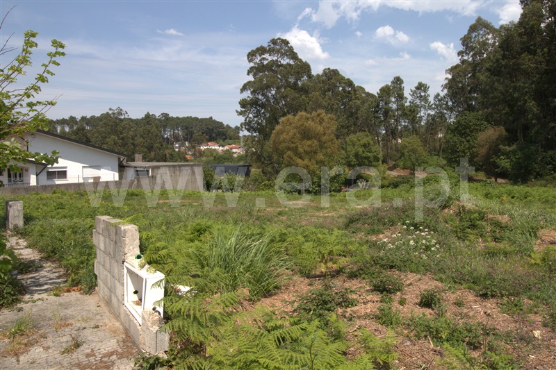 Lote / Espinho, Anta II - Cassufas