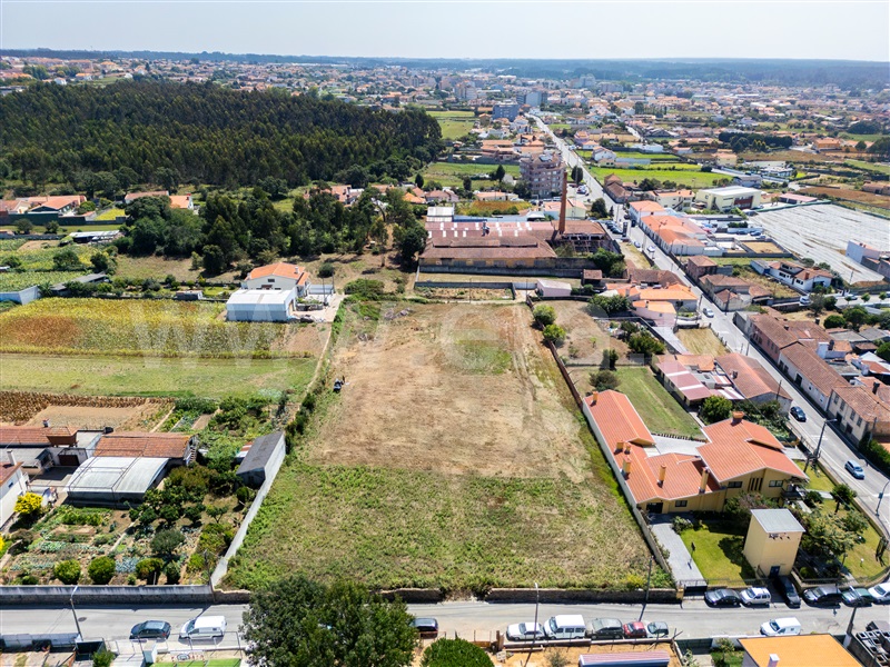 Lote / Espinho, Paramos