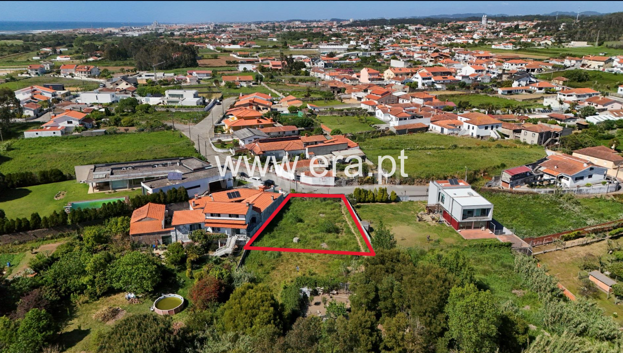 Lote / Espinho, Paramos