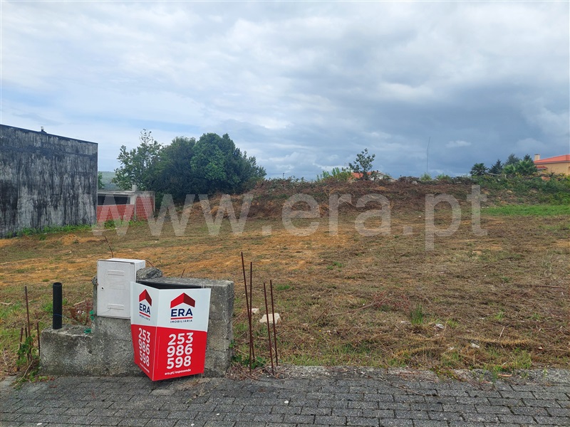 Lote / Esposende, Antas