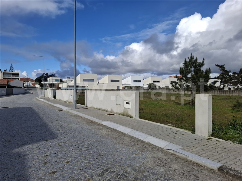 Lote / Esposende, Apúlia e Fão