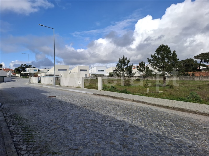 Lote / Esposende, Apúlia e Fão