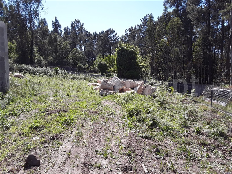 Lote  Esposende, Forjães - 1251824 - 2