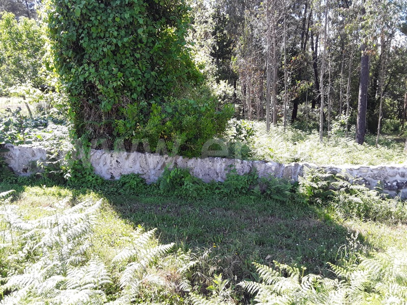 Lote  Esposende, Forjães - 1251824 - 3