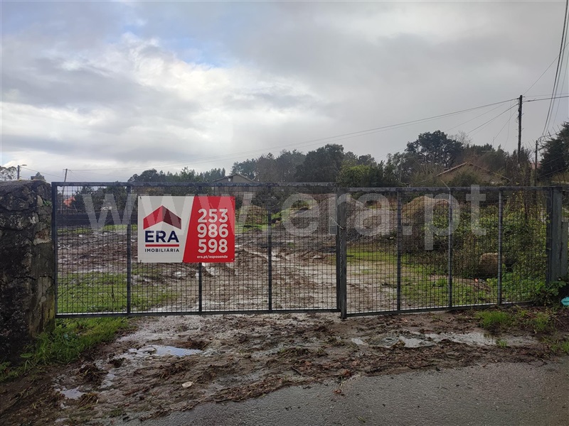 Lote / Esposende, Forjães