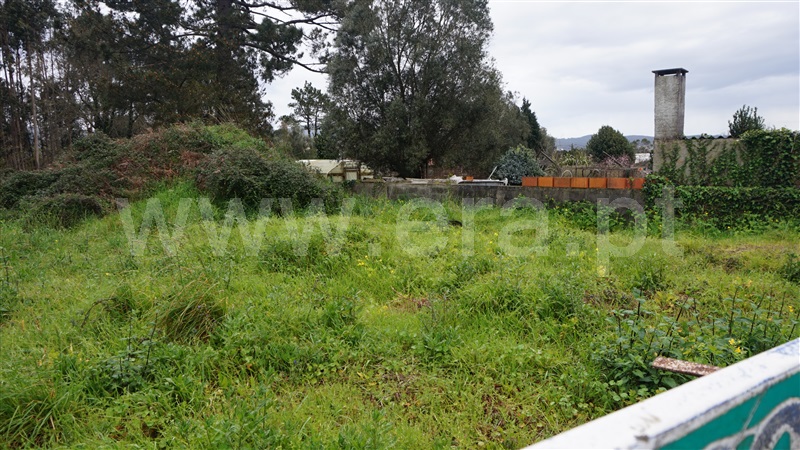 Lote  Esposende, Forjães - 1470397 - 2