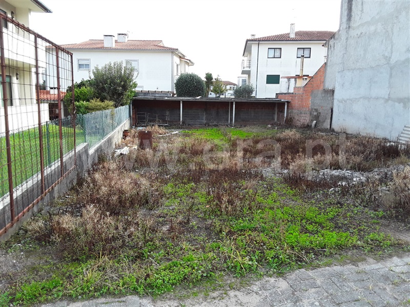 Lote  Esposende, Palmeira de Faro e Curvos - 1195968 - 3