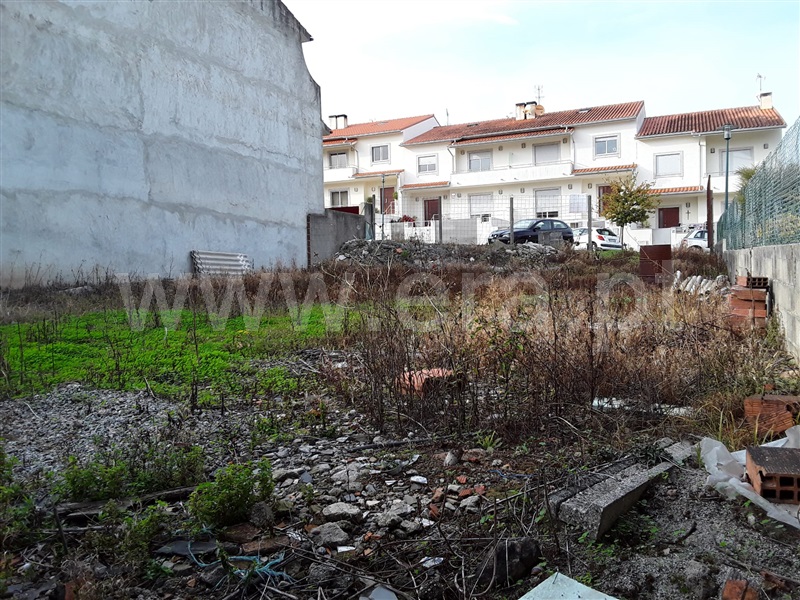 Lote  Esposende, Palmeira de Faro e Curvos - 1195968 - 4