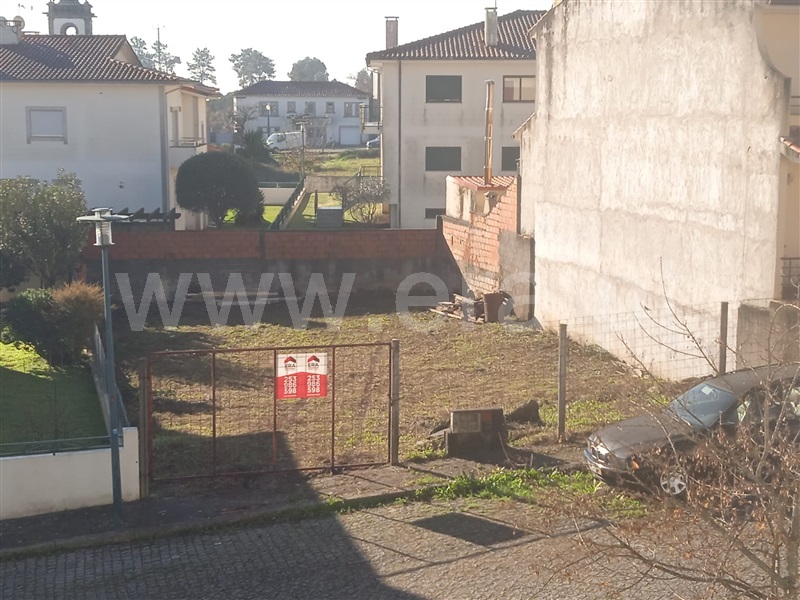 Lote / Esposende, Palmeira de Faro e Curvos