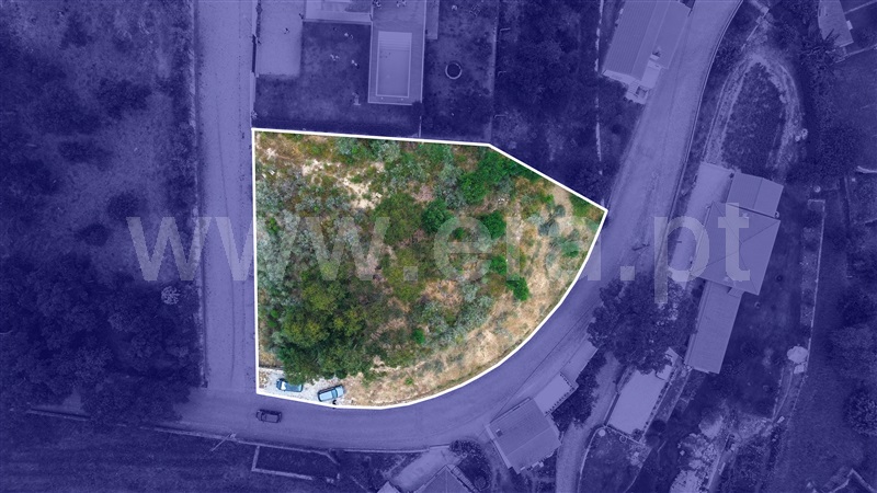 Lote  Esposende, Palmeira de Faro e Curvos - 1486029 - 1