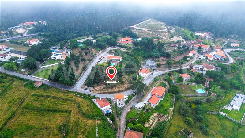 Lote / Esposende, Palmeira de Faro e Curvos