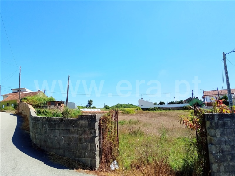 Lote / Estarreja, Salreu