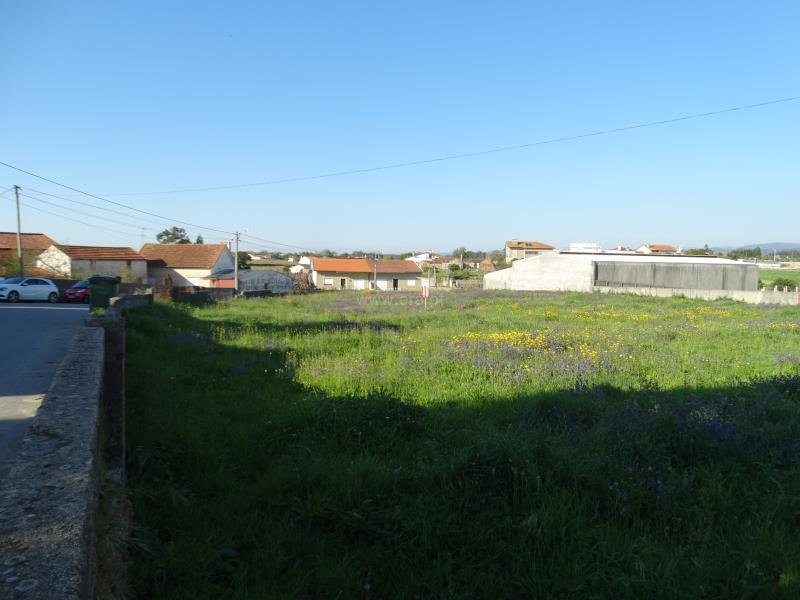 Lote / Estarreja, Salreu