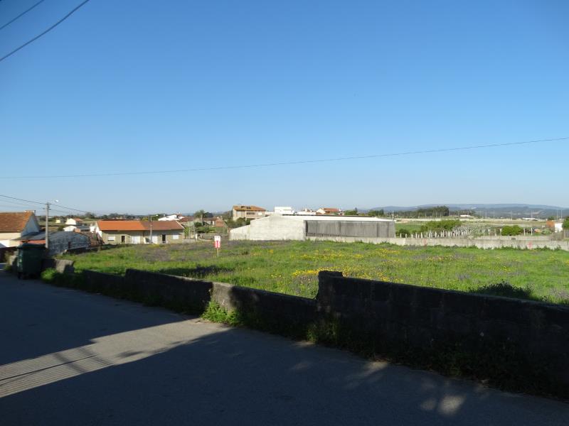 Lote / Estarreja, Salreu