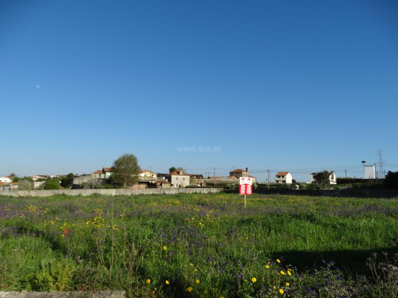 Lote / Estarreja, Salreu