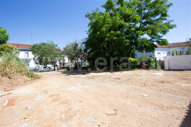 Lote / Évora, Nau