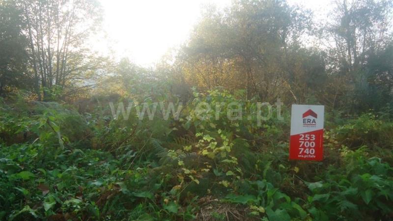 Lote  Fafe, Agrela e Serafão - 690083 - 2