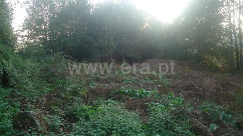 Lote  Fafe, Agrela e Serafão - 690083 - 1