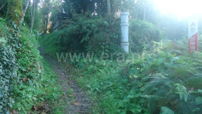Lote  Fafe, Agrela e Serafão - 690083 - 3