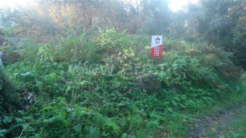Lote  Fafe, Agrela e Serafão - 690083 - 4