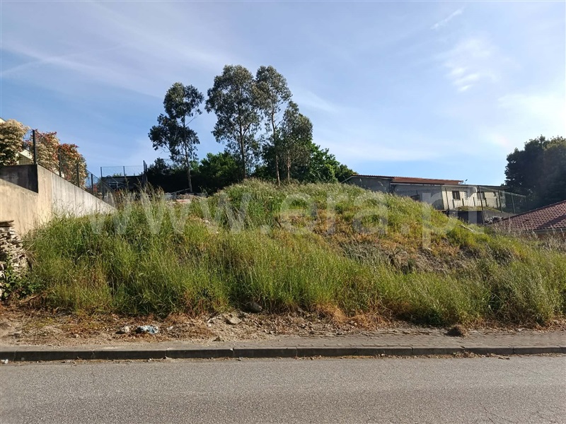 Lote / Fafe, Arões (São Romão)