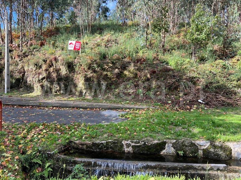 Lote  Fafe, Estorãos - 1436072 - 2