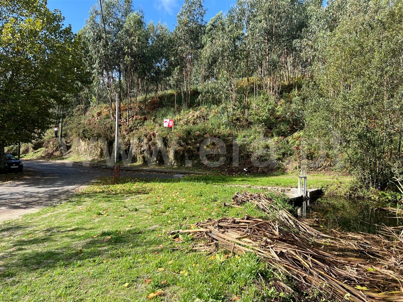 Lote  Fafe, Estorãos - 1436072 - 6