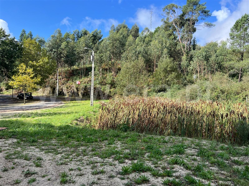 Lote  Fafe, Estorãos - 1436072 - 9