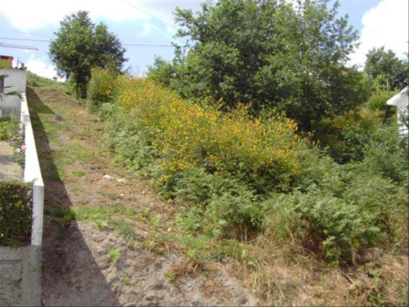 Lote  Fafe, Fafe - 104756 - 4