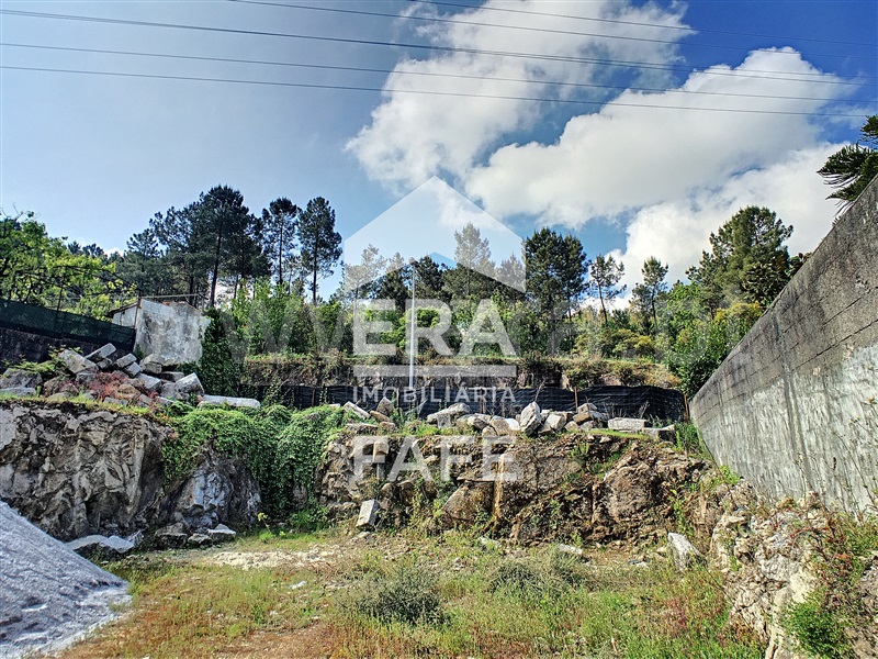 Lote  Fafe - 1067832 - 9