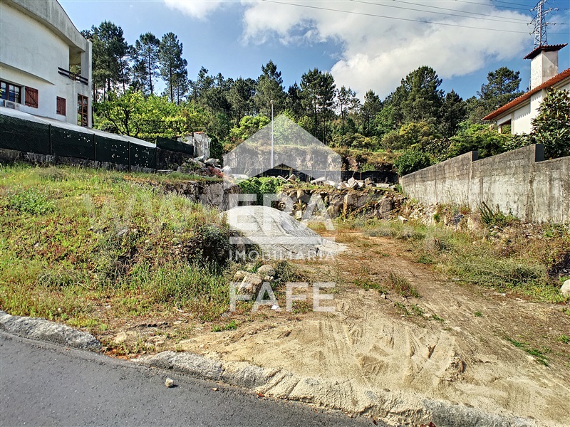 Lote  Fafe - 1067832 - 12
