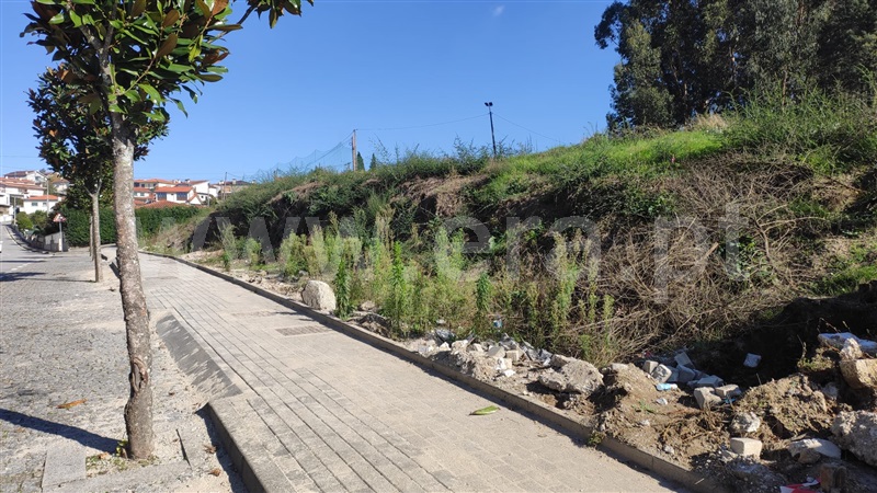 Lote  Fafe, Medelo - 1444706 - 1