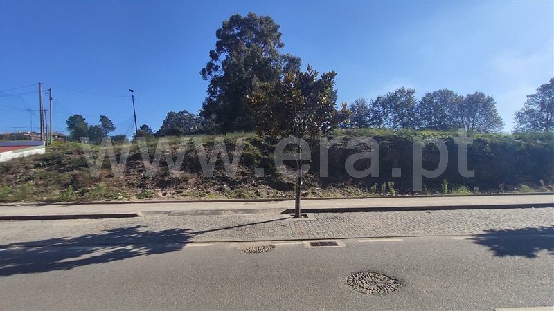 Lote / Fafe, Medelo