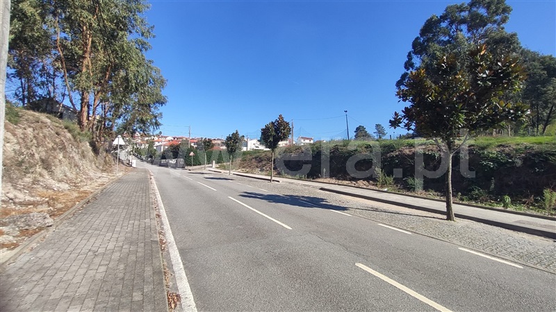 Lote  Fafe, Medelo - 1444706 - 7