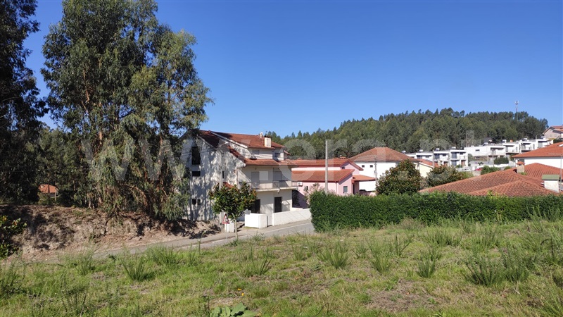 Lote  Fafe, Medelo - 1444706 - 8