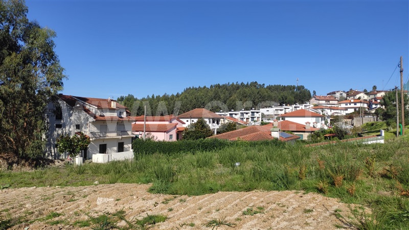 Lote  Fafe, Medelo - 1444706 - 9