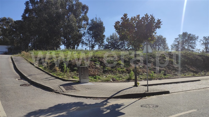 Lote / Fafe, Medelo