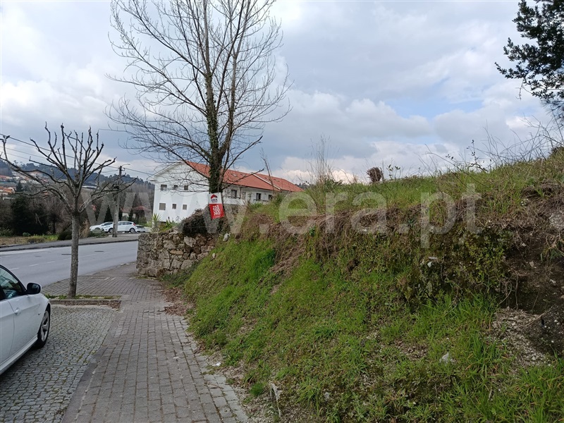 Lote / Fafe, Medelo