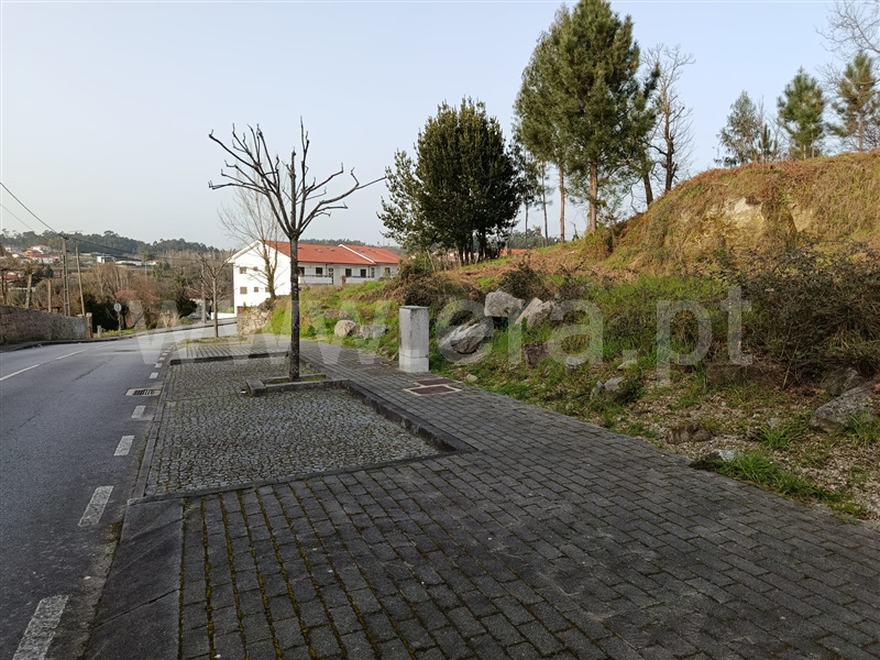 Lote / Fafe, Medelo